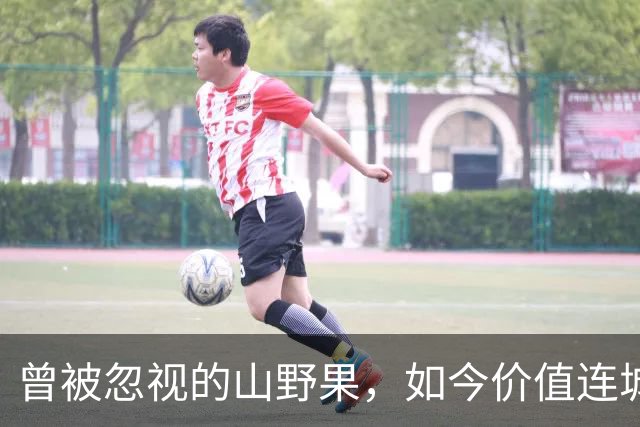 曾被忽视的山野果，如今价值连城，营养成分丰富